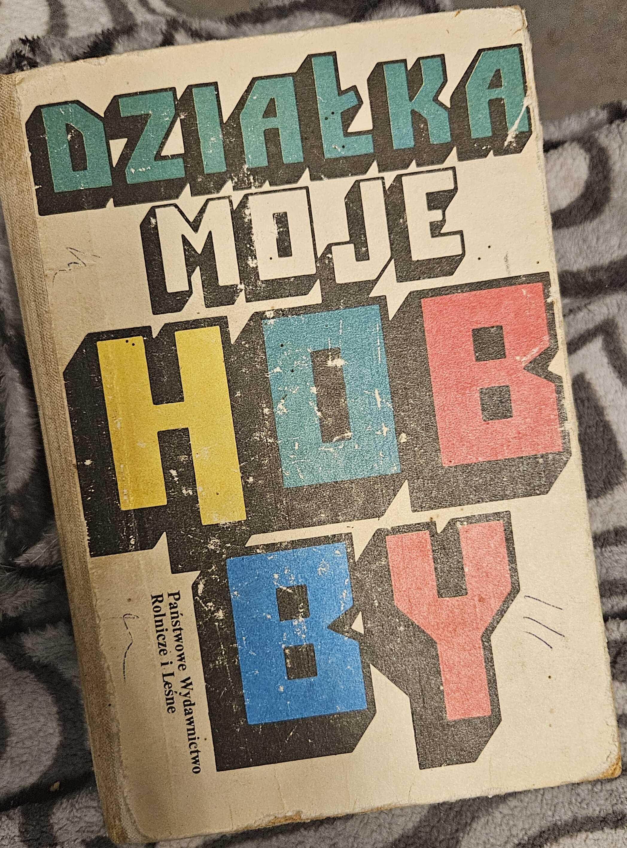 Zdjęcie