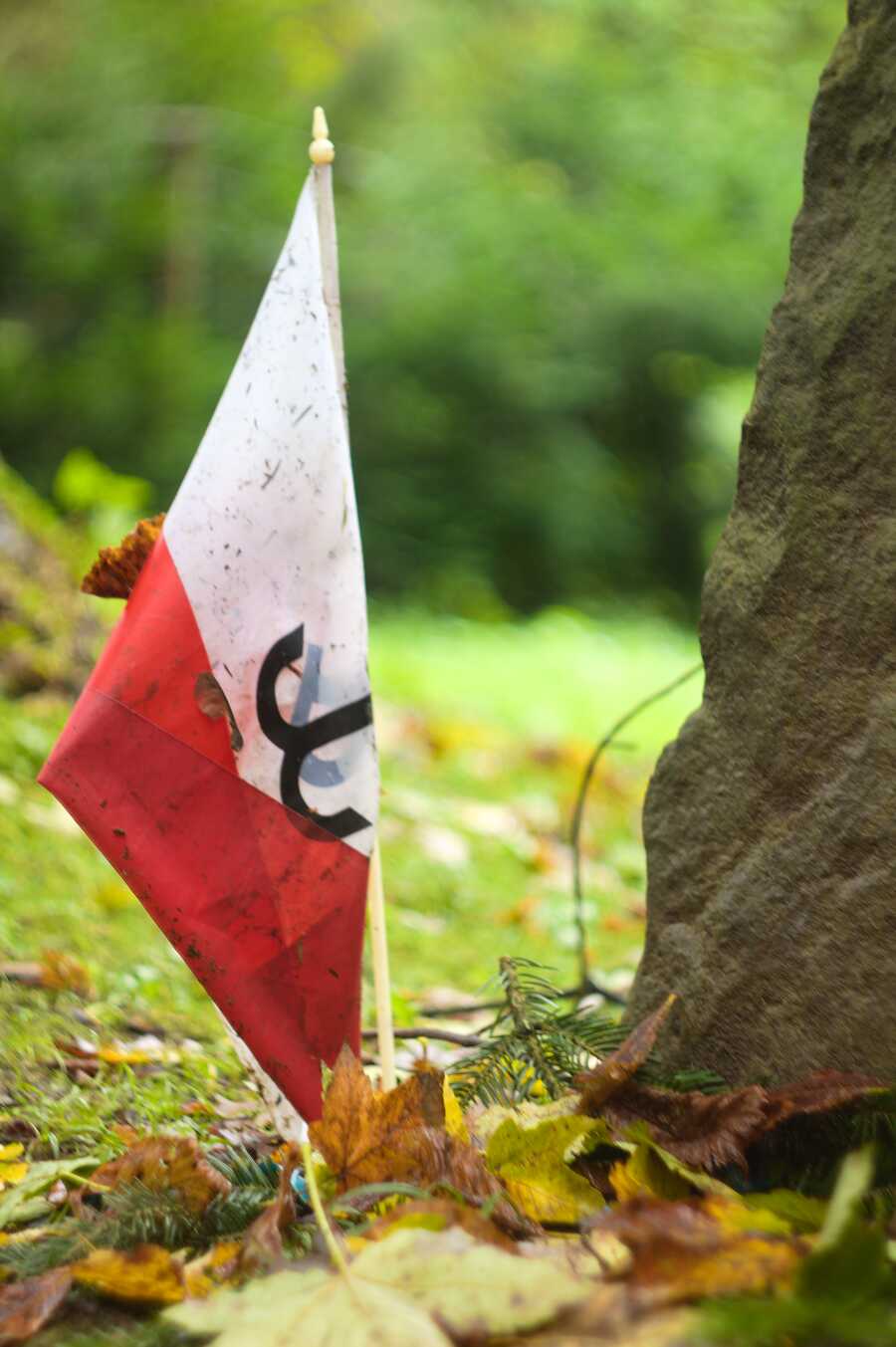 Zdjęcie