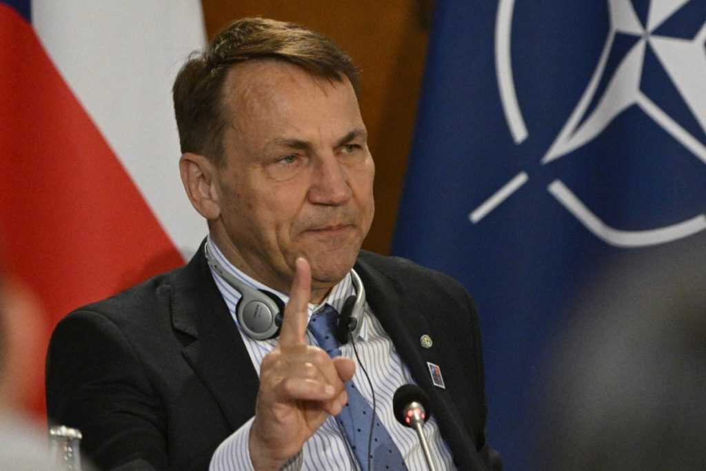 Zdjęcie