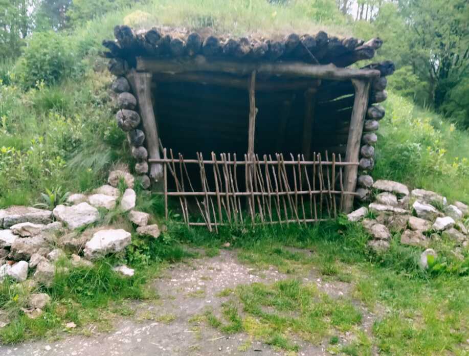 Zdjęcie