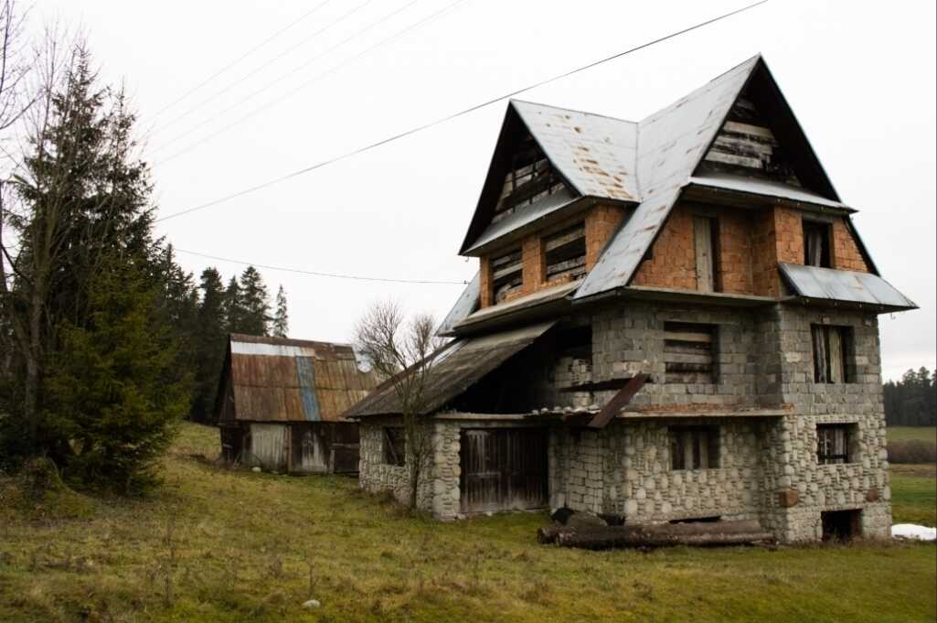 Zdjęcie