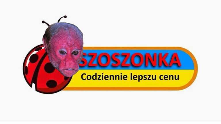 Zdjęcie