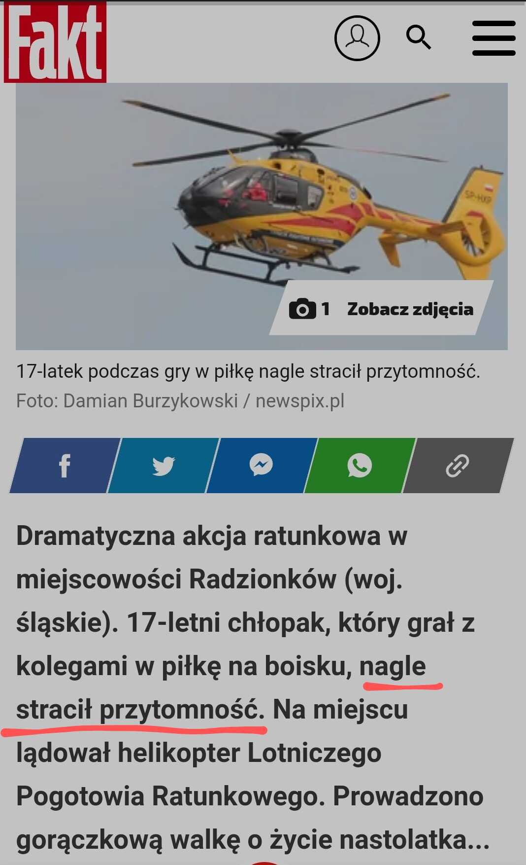Zdjęcie