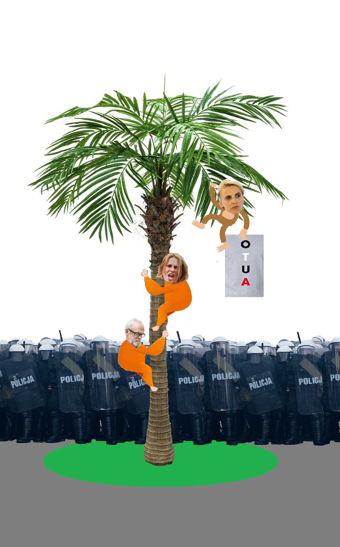 Zdjęcie