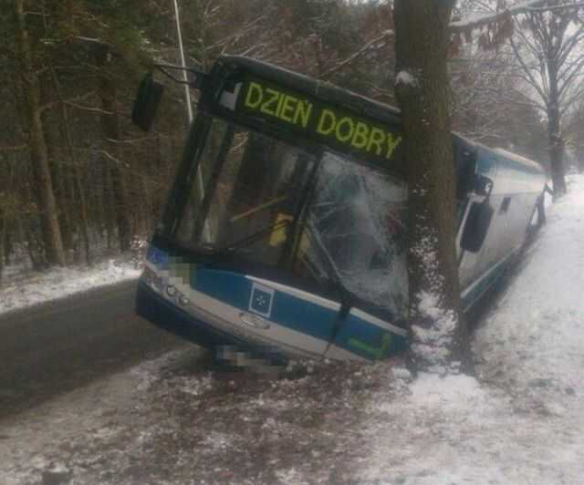Zdjęcie