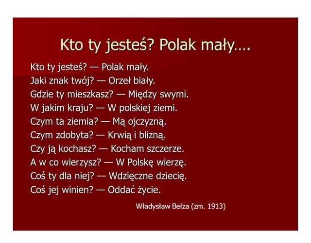 Zdjęcie